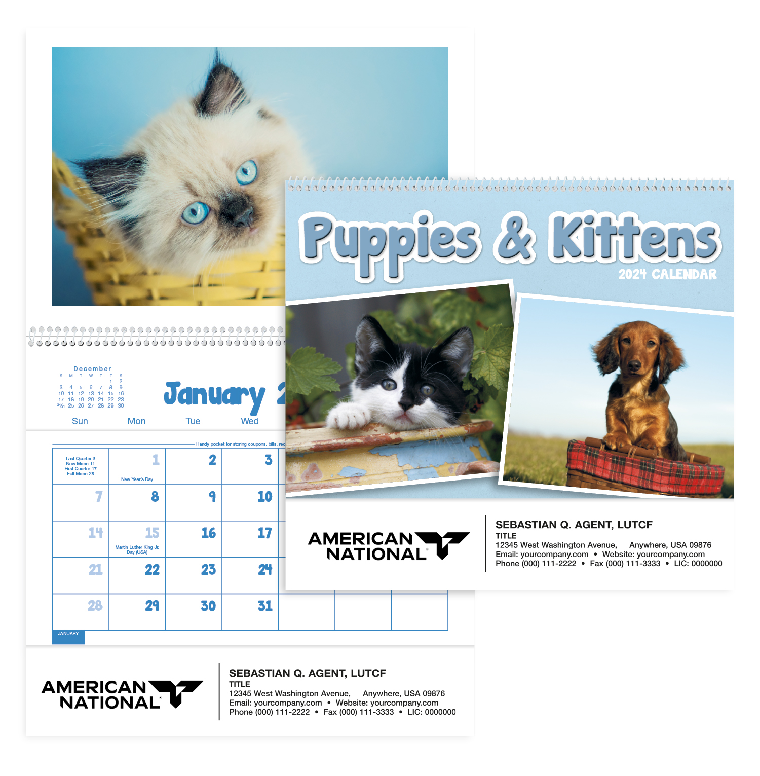 Puppies and Kittens Wall Calendar (Pocket)